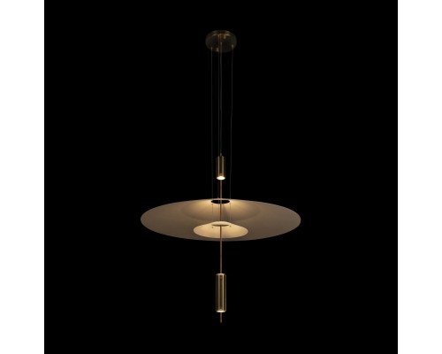 Заказать Подвесной светильник LOFT IT 10244/A Brass| VIVID-LIGHT.RU