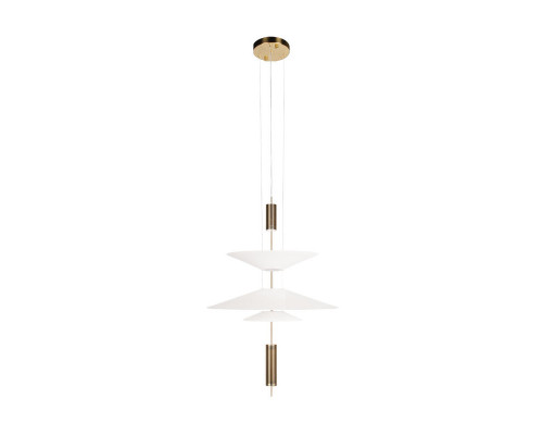 Заказать Подвесной светильник LOFT IT 10244/B Brass| VIVID-LIGHT.RU