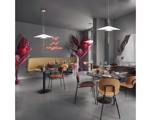 Оформить заказ Подвесной светильник LOFT IT 10244/C Brass| VIVID-LIGHT.RU