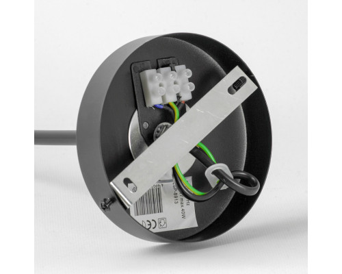 Оформить заказ Подвесной светильник Lussole LSP-8913| VIVID-LIGHT.RU