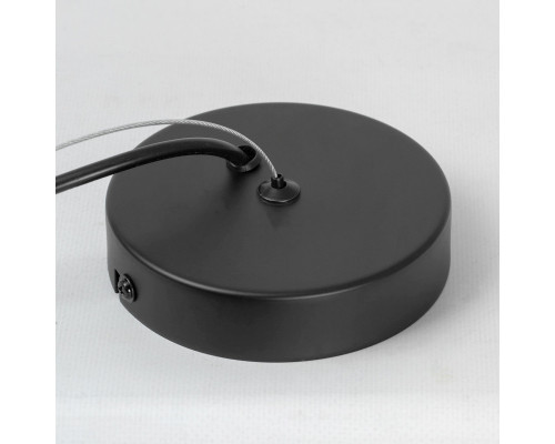 Оформить заказ Подвесной светильник Lussole LSP-8924| VIVID-LIGHT.RU