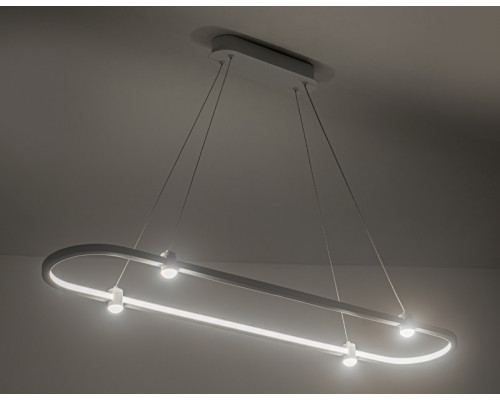 Сделать заказ Подвесной светильник Ambrella Light FL5588| VIVID-LIGHT.RU