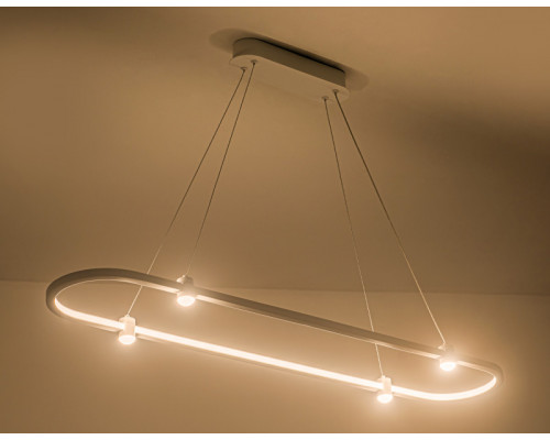 Сделать заказ Подвесной светильник Ambrella Light FL5588| VIVID-LIGHT.RU