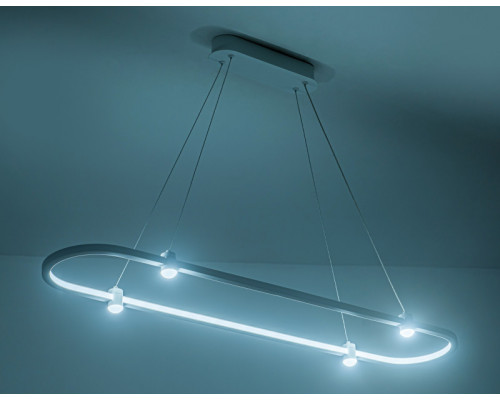 Сделать заказ Подвесной светильник Ambrella Light FL5588| VIVID-LIGHT.RU