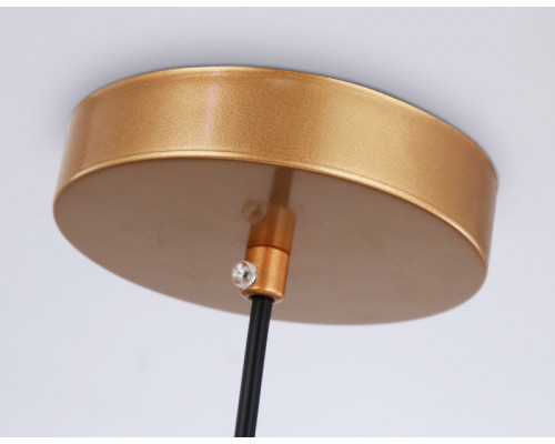 Сделать заказ Подвесной светильник Ambrella Light TR2594| VIVID-LIGHT.RU