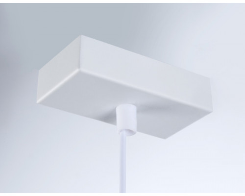 Оформить заказ Подвесной светильник Ambrella Light TN70857| VIVID-LIGHT.RU