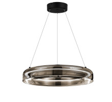 Подвесной светильник ST-Luce SL6019.333.01