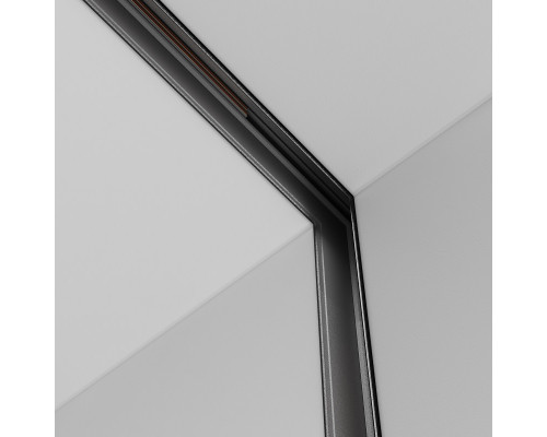 Заказать Коннектор Maytoni Technical TRA034CL-42.12B| VIVID-LIGHT.RU