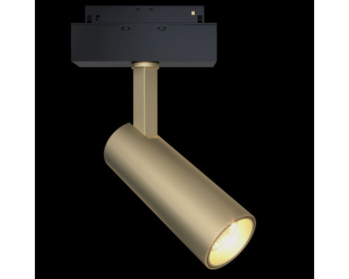 Оформить заказ Светильник на шине Maytoni Technical TR019-2-10W4K-MG| VIVID-LIGHT.RU