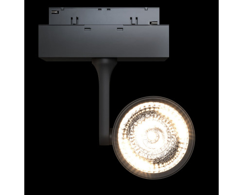 Сделать заказ Светильник на шине Maytoni Technical TR024-2-10B3K| VIVID-LIGHT.RU