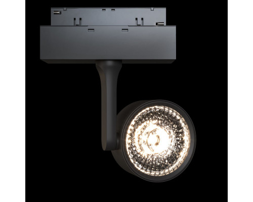 Сделать заказ Светильник на шине Maytoni Technical TR024-2-10B3K| VIVID-LIGHT.RU