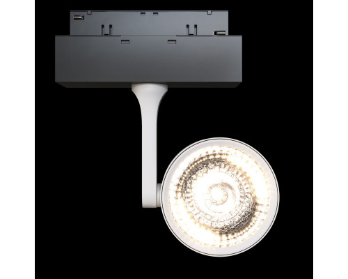 Оформить заказ Светильник на шине Maytoni Technical TR024-2-10W4K| VIVID-LIGHT.RU