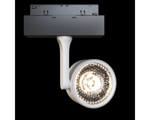 Оформить заказ Светильник на шине Maytoni Technical TR024-2-10W4K| VIVID-LIGHT.RU