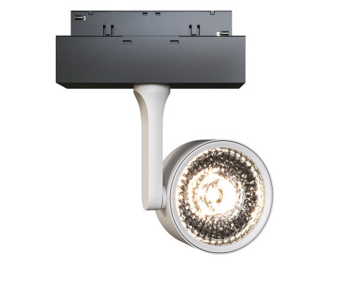 Оформить заказ Светильник на шине Maytoni Technical TR024-2-10W4K| VIVID-LIGHT.RU