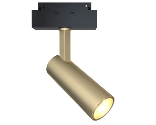 Оформить заказ Светильник на шине Maytoni Technical TR019-2-10W4K-MG| VIVID-LIGHT.RU