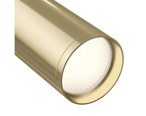 Сделать заказ Светильник на шине Maytoni Technical TR020-1-GU10-BG| VIVID-LIGHT.RU