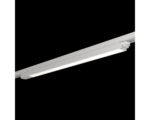 Сделать заказ Светильник на шине Maytoni Technical TR000-1-24W4K-W| VIVID-LIGHT.RU