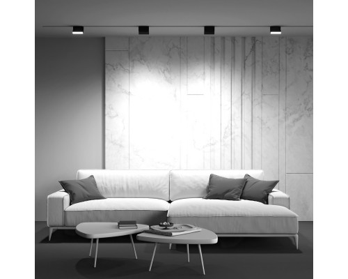 Оформить заказ Светильник на шине Maytoni Technical TR075-2-10W4K-B| VIVID-LIGHT.RU