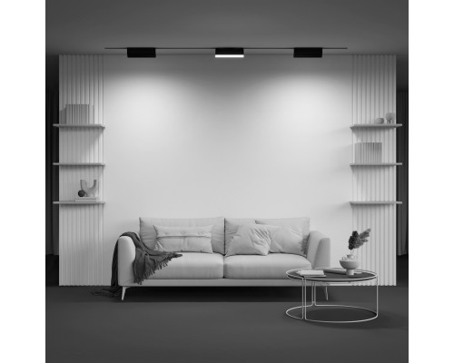 Сделать заказ Светильник на шине Maytoni Technical TR075-2-20W4K-B| VIVID-LIGHT.RU