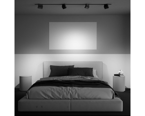 Сделать заказ Светильник на шине Maytoni Technical TR077-2-10W4K-B| VIVID-LIGHT.RU