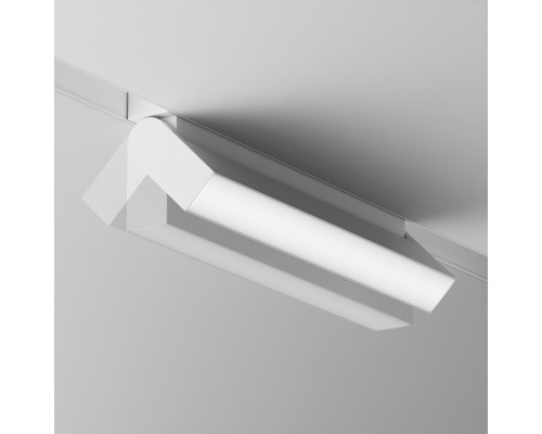 Оформить заказ Светильник на шине Maytoni Technical TR075-2-20W4K-W| VIVID-LIGHT.RU