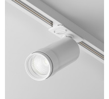 Светильник на шине Maytoni Technical TR021-1-12B4K-Z-D-W
