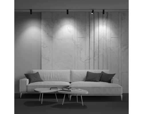 Оформить заказ Светильник на шине Maytoni Technical TR021-1-12B3K-Z-B| VIVID-LIGHT.RU