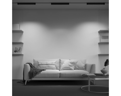 Купить Светильник на шине Maytoni Technical TR010-1-20W3K-M-B| VIVID-LIGHT.RU