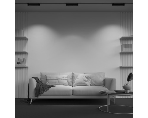 Сделать заказ Светильник на шине Maytoni Technical TR010-1-10W3K-M-B| VIVID-LIGHT.RU