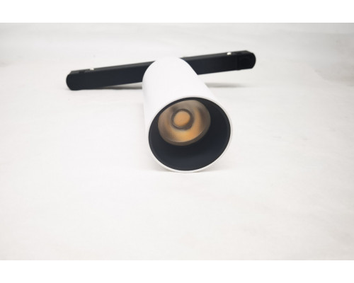 Купить Светильник на шине Maytoni Technical TR032-2-12W3K-S-W| VIVID-LIGHT.RU