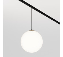 Светильник на шине Maytoni Technical TR039-2-5W4K