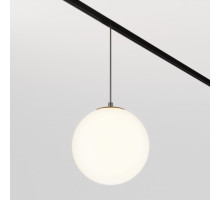 Светильник на шине Maytoni Technical TR039-2-5W3K