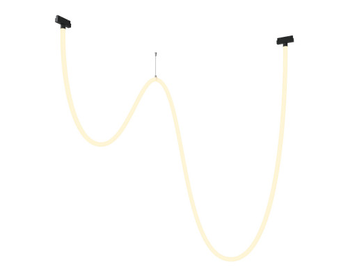 Оформить заказ Светильник на шине Maytoni Technical TR101-2-100W3K-B| VIVID-LIGHT.RU