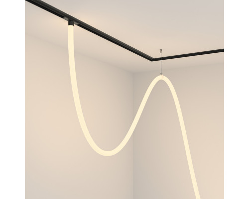 Оформить заказ Светильник на шине Maytoni Technical TR101-2-100W3K-B| VIVID-LIGHT.RU