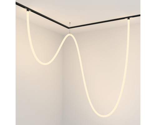 Оформить заказ Светильник на шине Maytoni Technical TR101-2-100W3K-B| VIVID-LIGHT.RU