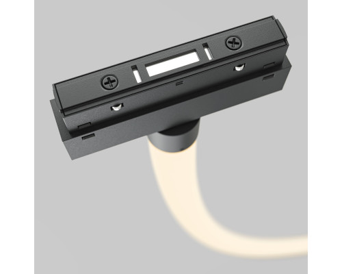 Оформить заказ Светильник на шине Maytoni Technical TR101-2-100W3K-B| VIVID-LIGHT.RU