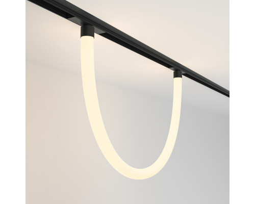 Сделать заказ Светильник на шине Maytoni Technical TR101-2-20W3K-B| VIVID-LIGHT.RU