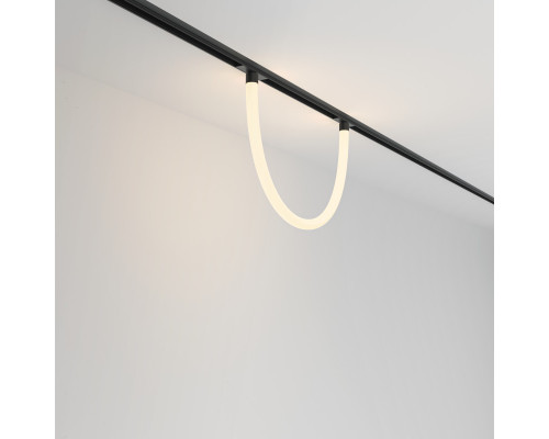 Сделать заказ Светильник на шине Maytoni Technical TR101-2-20W3K-B| VIVID-LIGHT.RU