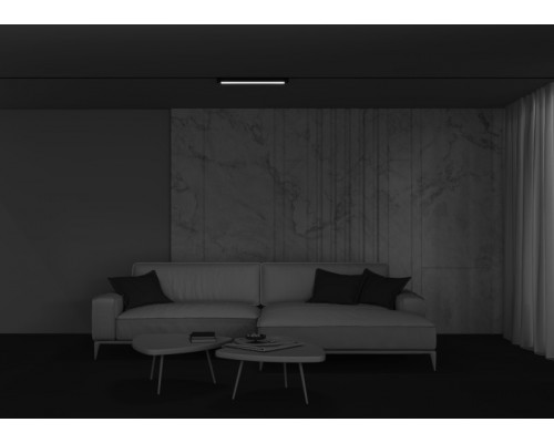 Оформить заказ Светильник на шине Maytoni Technical TR104-1-20W4K-B| VIVID-LIGHT.RU