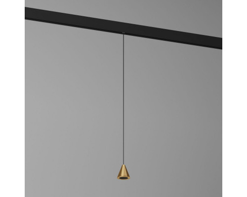 Оформить заказ Светильник на шине Elektrostandard 85039/01 латунь| VIVID-LIGHT.RU