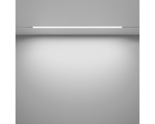 Заказать Светильник на шине Maytoni Technical TR030-4-24W3K-WW-DS-W| VIVID-LIGHT.RU
