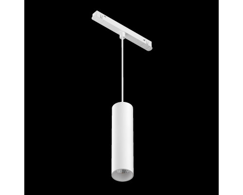 Заказать Светильник на шине Maytoni Technical TR041-2-12W3K-W| VIVID-LIGHT.RU