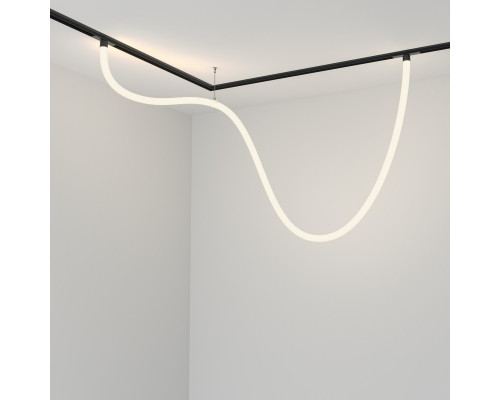 Сделать заказ Светильник на шине Maytoni Technical TR101-2-50W4K-B| VIVID-LIGHT.RU