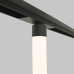 Сделать заказ Светильник на шине Maytoni Technical TR101-2-50W4K-B| VIVID-LIGHT.RU