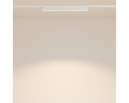 Заказать Светильник на шине Maytoni Technical TR082-1-18W3K-M-W| VIVID-LIGHT.RU