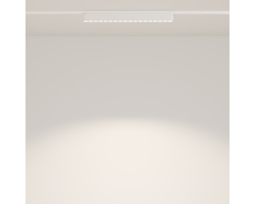 Оформить заказ Светильник на шине Maytoni Technical TR082-1-18W4K-M-W| VIVID-LIGHT.RU