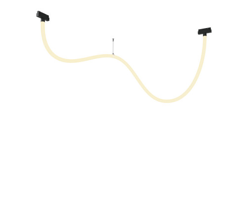 Купить Светильник на шине Maytoni Technical TR101-2-50W3K-B| VIVID-LIGHT.RU