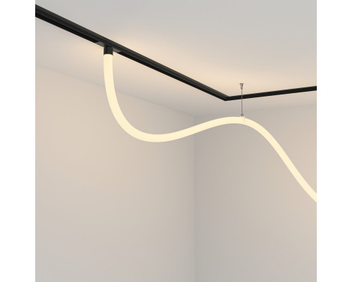 Купить Светильник на шине Maytoni Technical TR101-2-50W3K-B| VIVID-LIGHT.RU