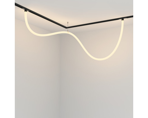 Купить Светильник на шине Maytoni Technical TR101-2-50W3K-B| VIVID-LIGHT.RU