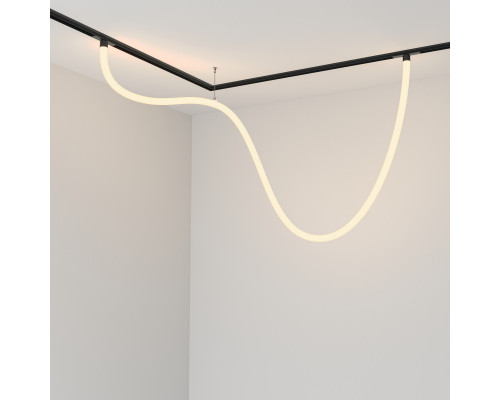 Купить Светильник на шине Maytoni Technical TR101-2-50W3K-B| VIVID-LIGHT.RU